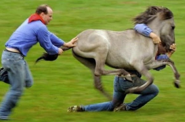 صورة