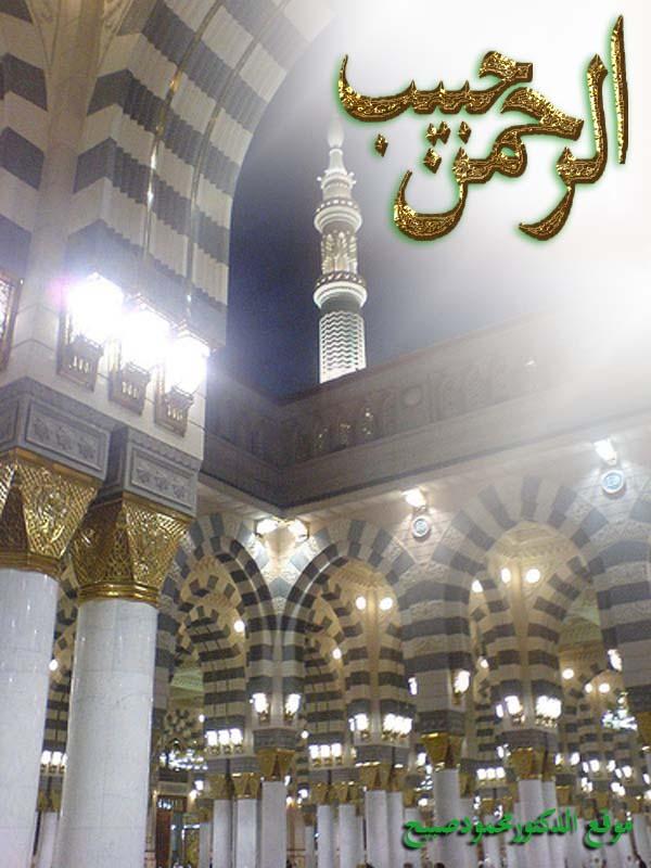 صورة
