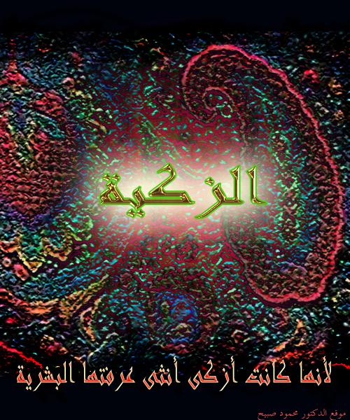 صورة