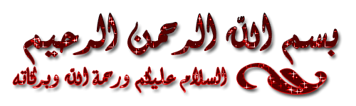 516011370.gif