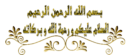 136255212.gif