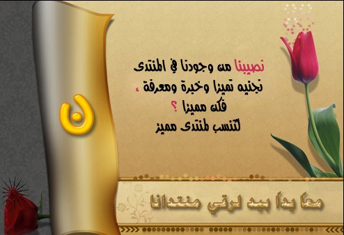 صورة