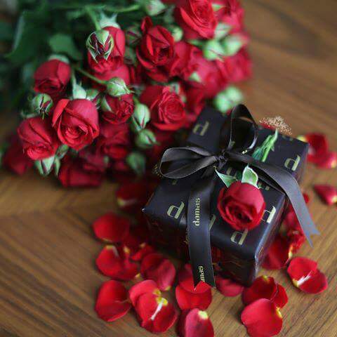 ���� ���� ������ �� ���� ������