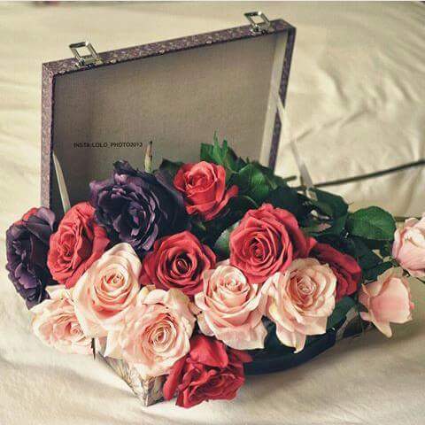 ���� ���� ������ �� ���� ������