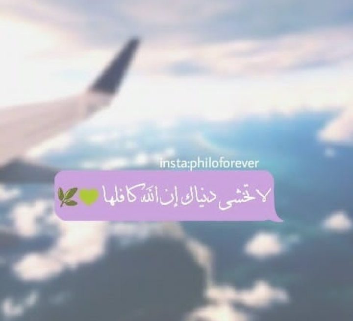 ���� ���� ������ �� ���� ������