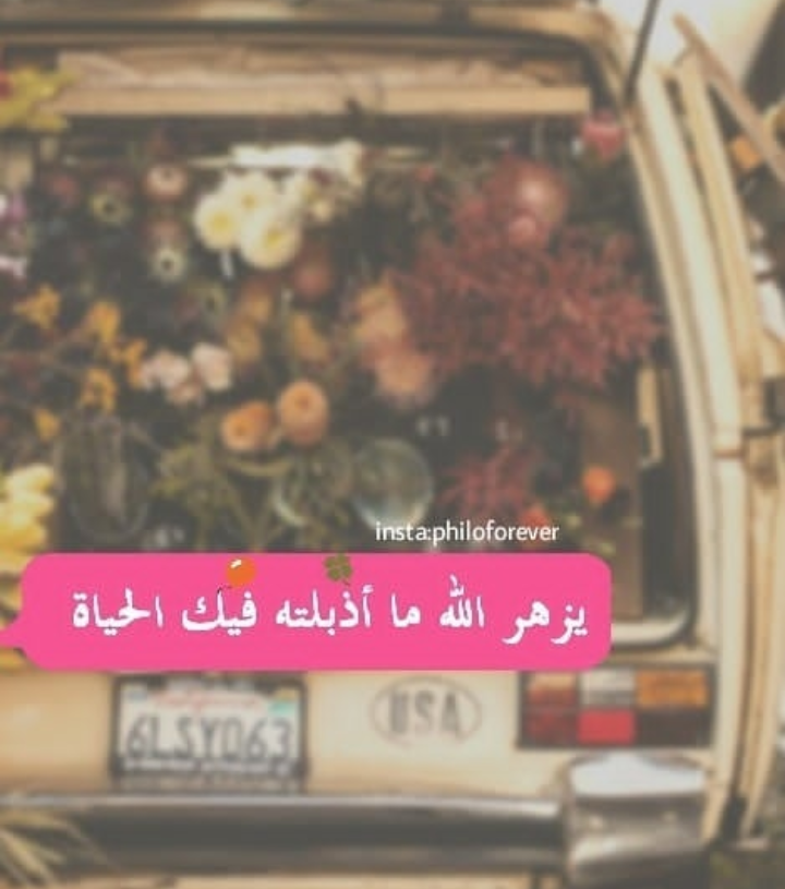 ���� ���� ������ �� ���� ������