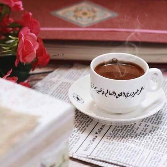 ���� ���� ������ �� ���� ������