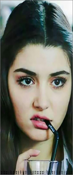 ���� ���� ������ �� ���� ������