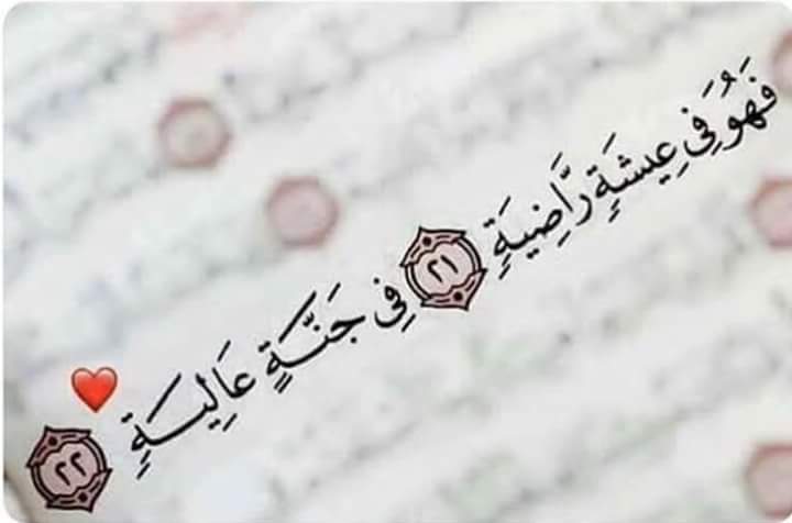 ���� ���� ������ �� ���� ������