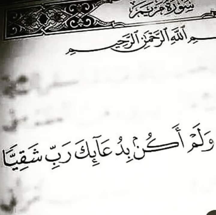 ���� ���� ������ �� ���� ������