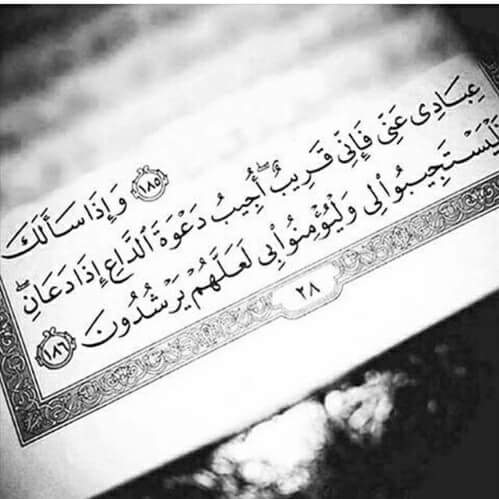 ���� ���� ������ �� ���� ������