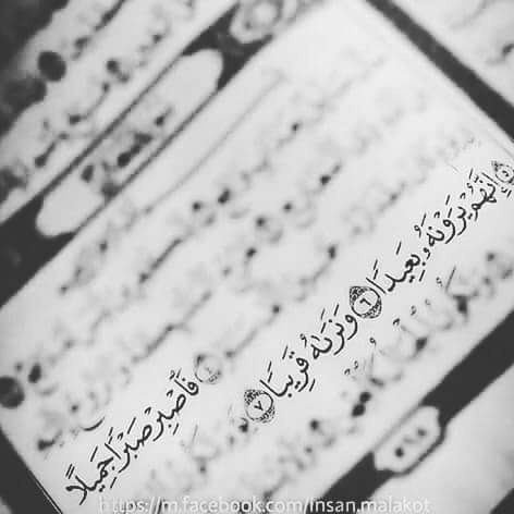 ���� ���� ������ �� ���� ������