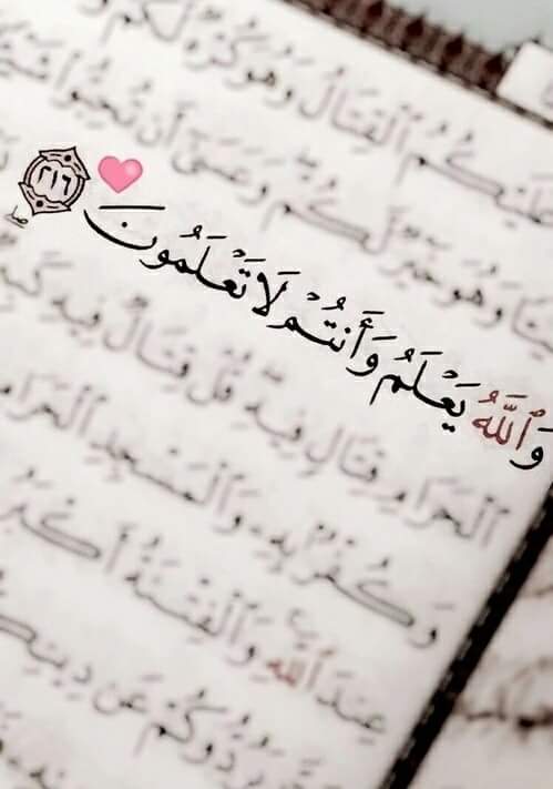 ���� ���� ������ �� ���� ������