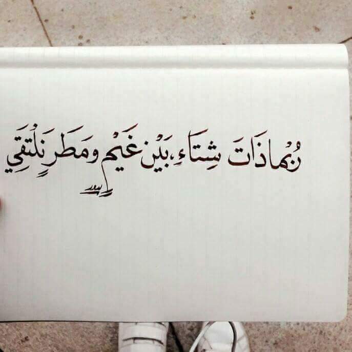 ���� ���� ������ �� ���� ������