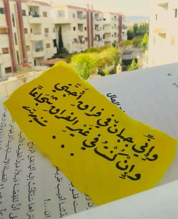 ���� ���� ������ �� ���� ������