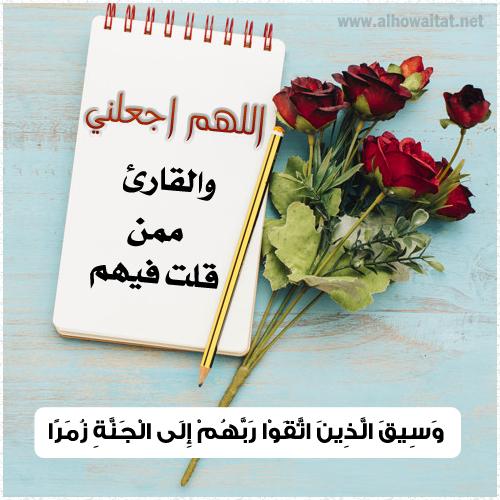 نقرتين لعرض الصورة في صفحة مستقلة