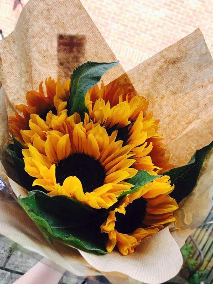 ���� ���� ������ �� ���� ������