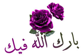 ط®ظ„ظٹط¬ظٹط©