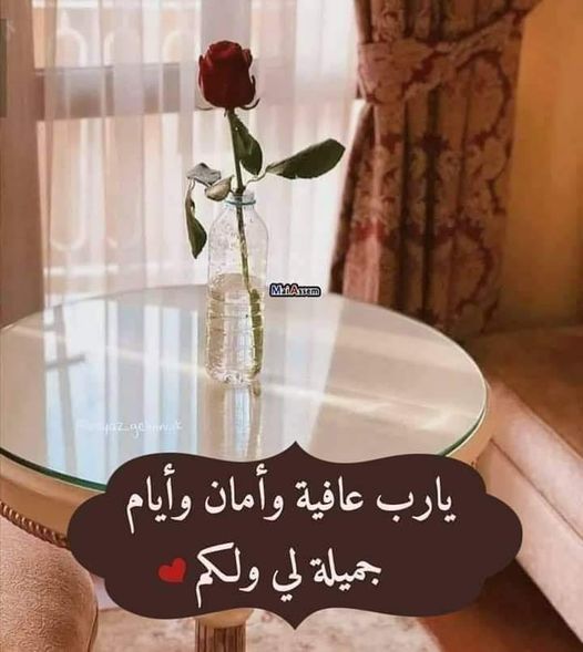 ���� ���� ������ �� ���� ������