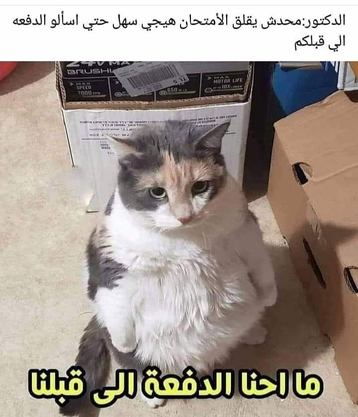 ���� ���� ������ �� ���� ������