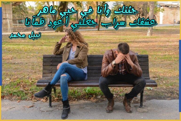 ���� ����