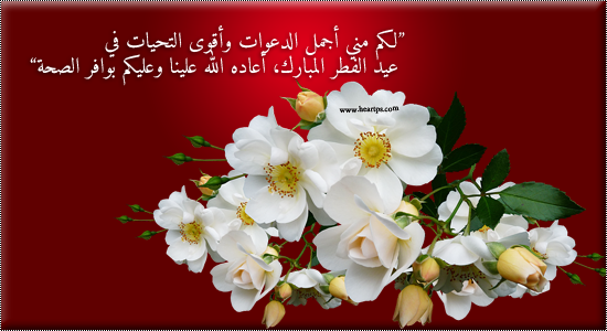 نقره لعرض الصورة في صفحة مستقلة