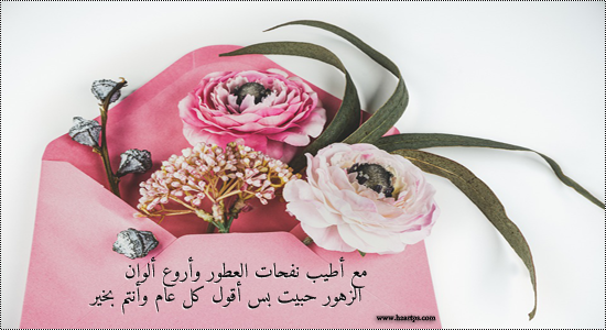 نقره لعرض الصورة في صفحة مستقلة