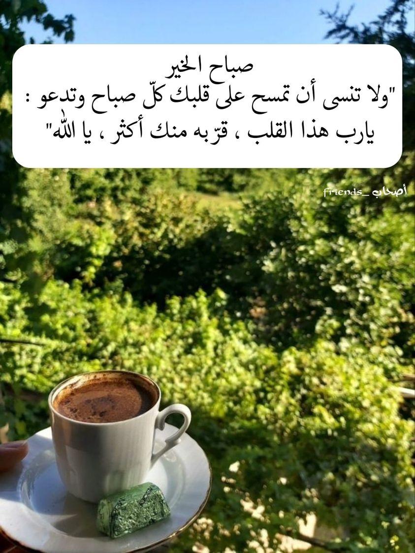 ���� ���� ������ �� ���� ������