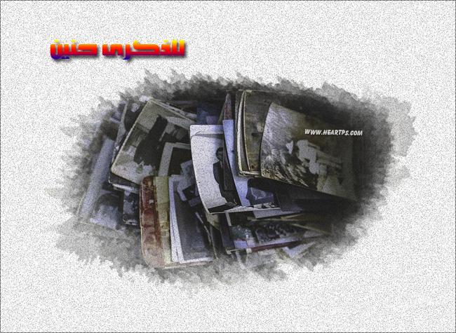 ���� ���� ������ �� ���� ������