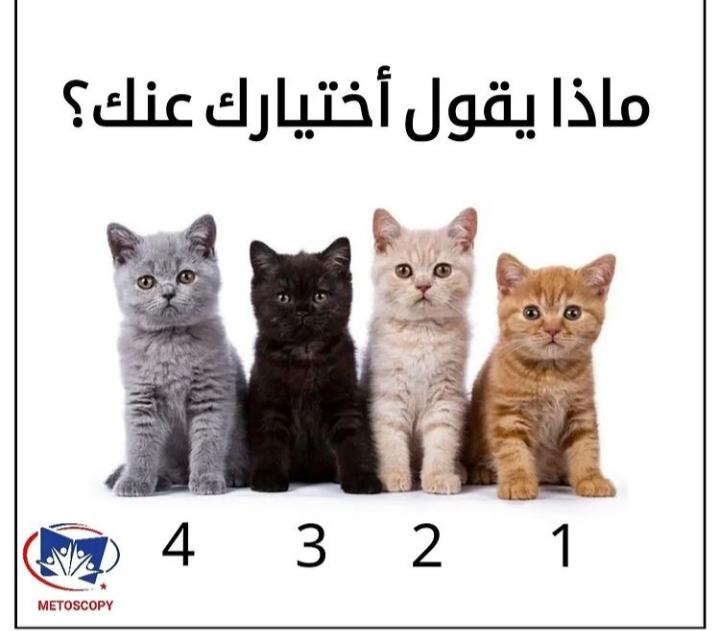 نقره لعرض الصورة في صفحة مستقلة