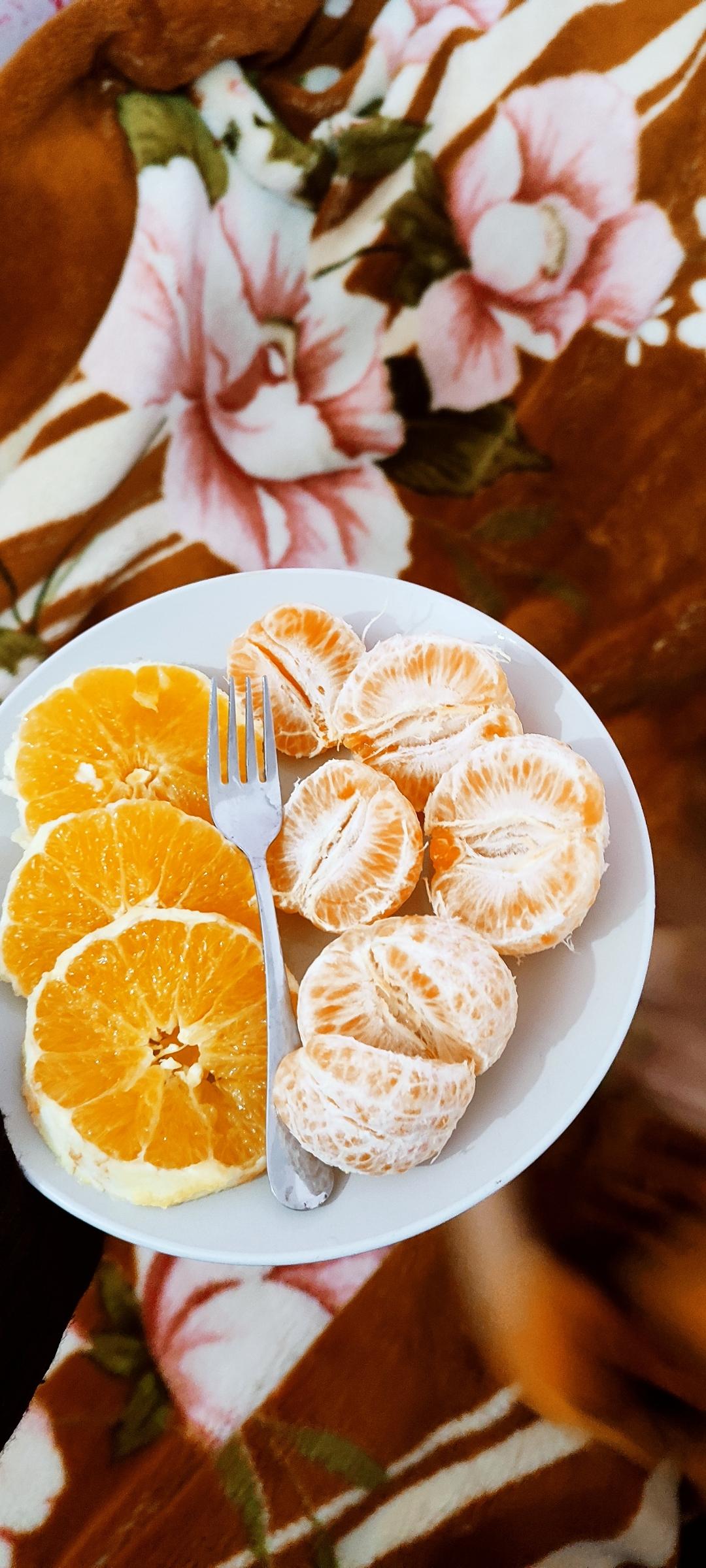 ���� ���� ������ �� ���� ������