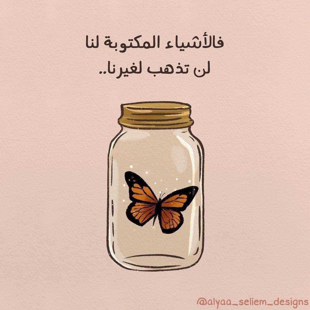 ���� ���� ������ �� ���� ������