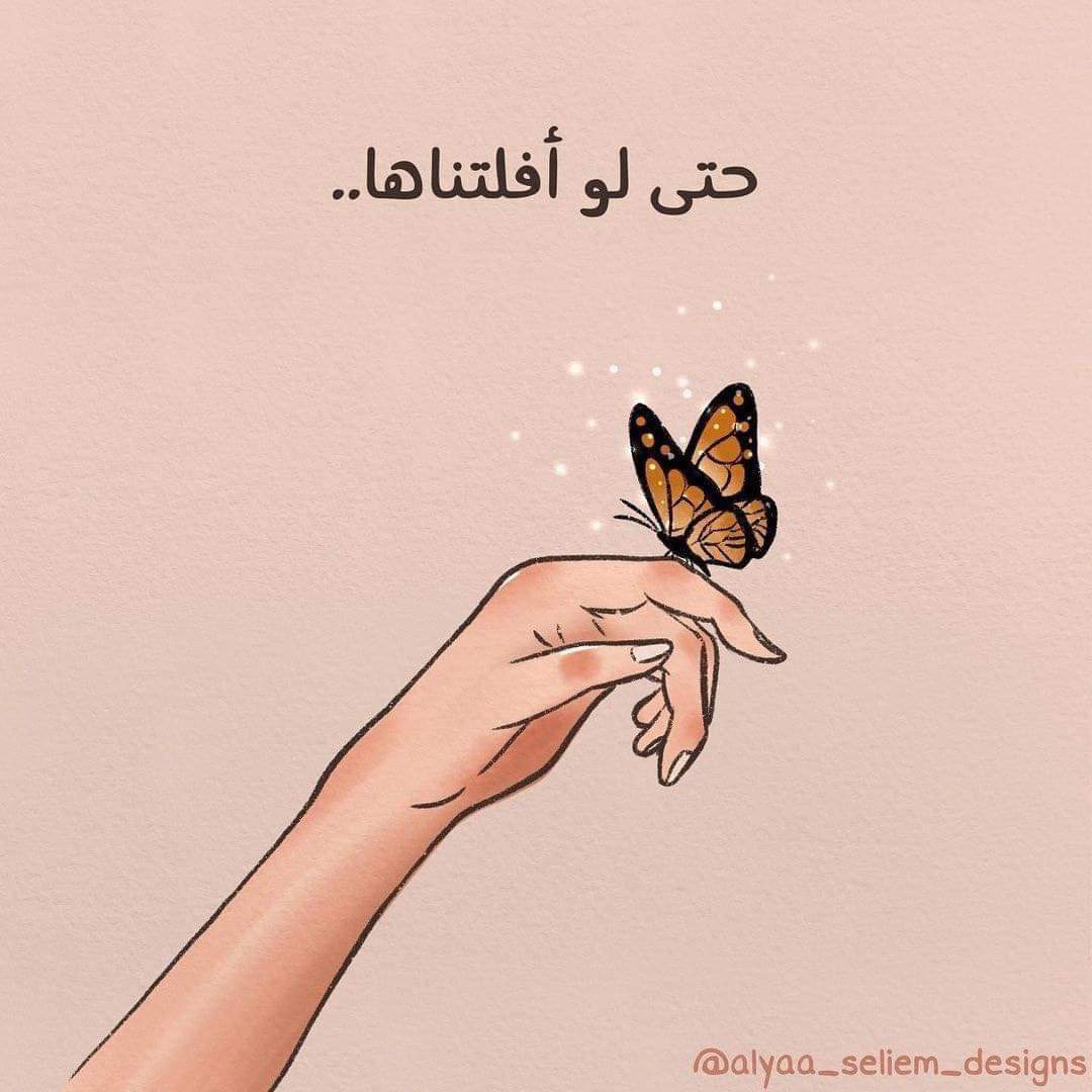 ���� ���� ������ �� ���� ������