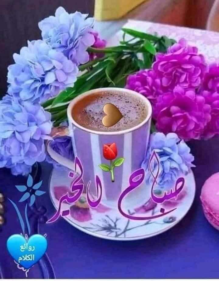 ���� ���� ������ �� ���� ������