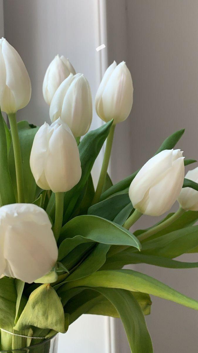 ���� ���� ������ �� ���� ������