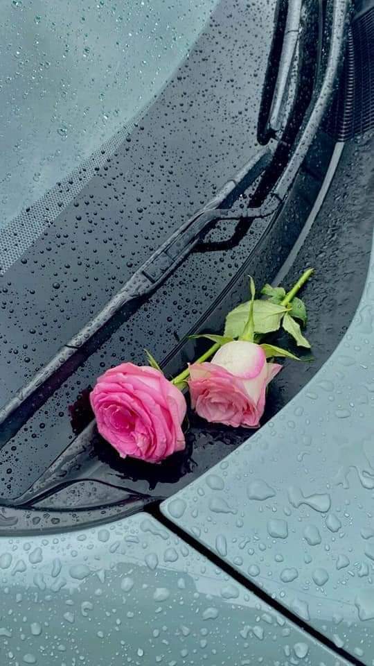 ���� ���� ������ �� ���� ������