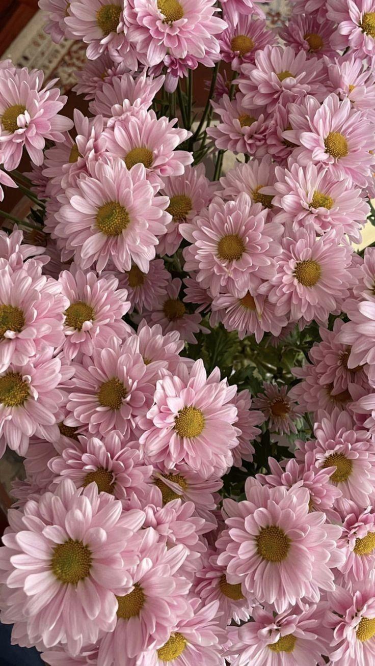 ���� ���� ������ �� ���� ������