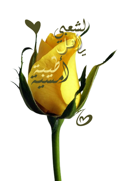 https://www10.0zz0.com/2024/06/07/21/370203157.png